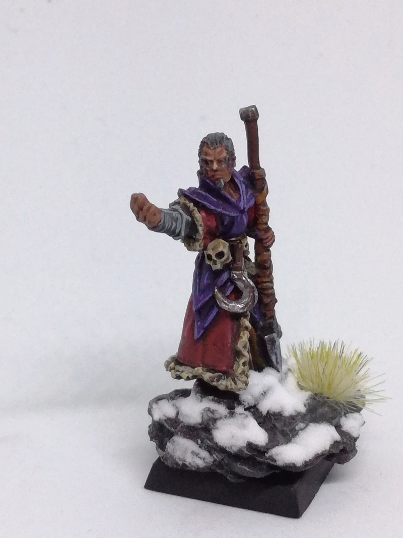 Mon armée des Comtes Vampires - Page 2 Img_2089