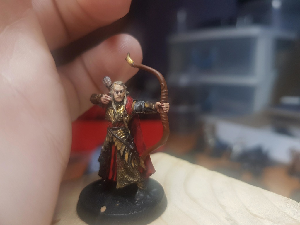 Troupes d'Haldir 34021510