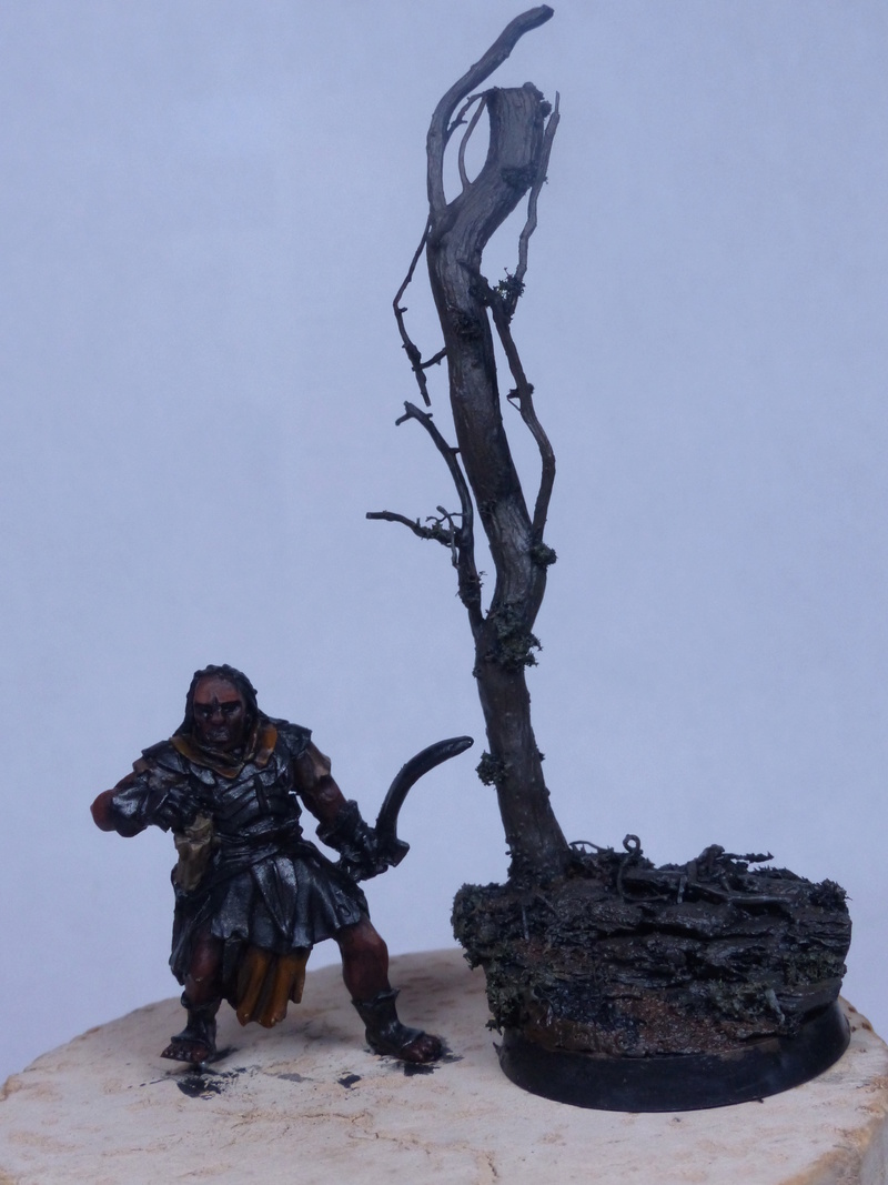 Concours de peinture n°6: Dagon Hon - Section Confirmés P1020510