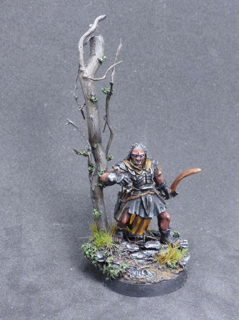 Concours de peinture n°6: Dagon Hon - Section Confirmés - Page 2 P1030011