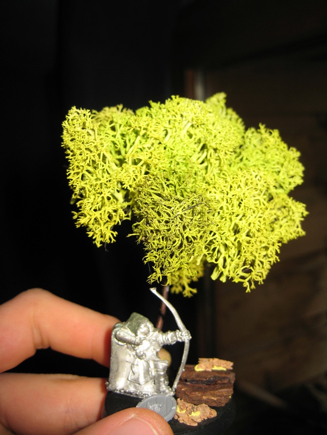 Concours de peinture n°6: Dagon Hon - Section Confirmés Img_5812