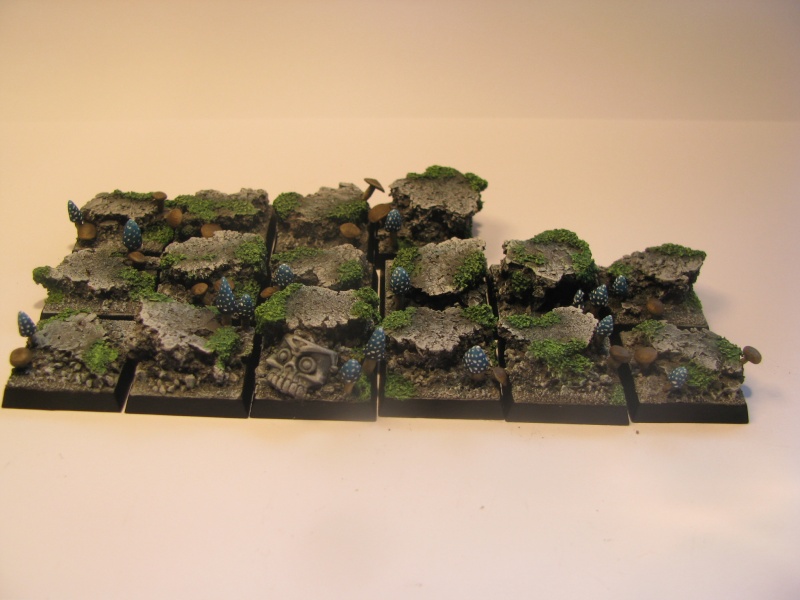 régiment de gobelins de la nuit Img_9310