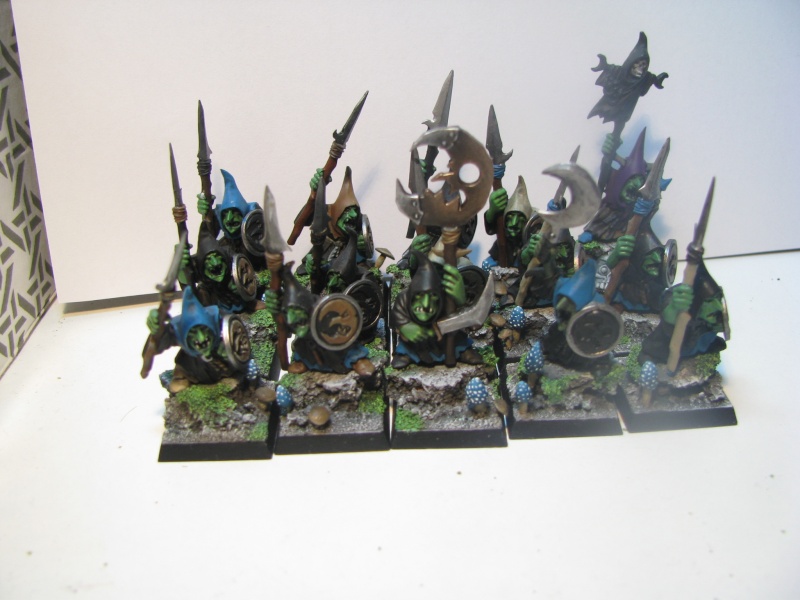 régiment de gobelins de la nuit Img_9610