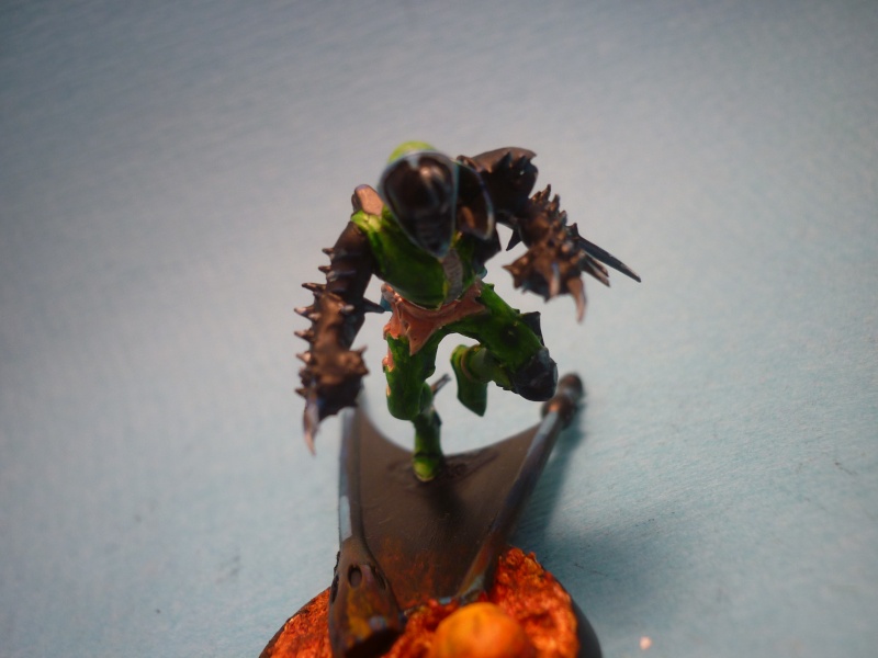 Mes figurines !  - Page 2 P1160716