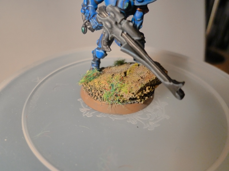 Vaisseau Monde Alaitoc  P1020822