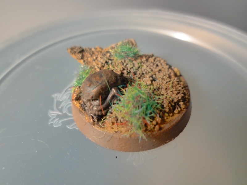 Vaisseau Monde Alaitoc  P1020823