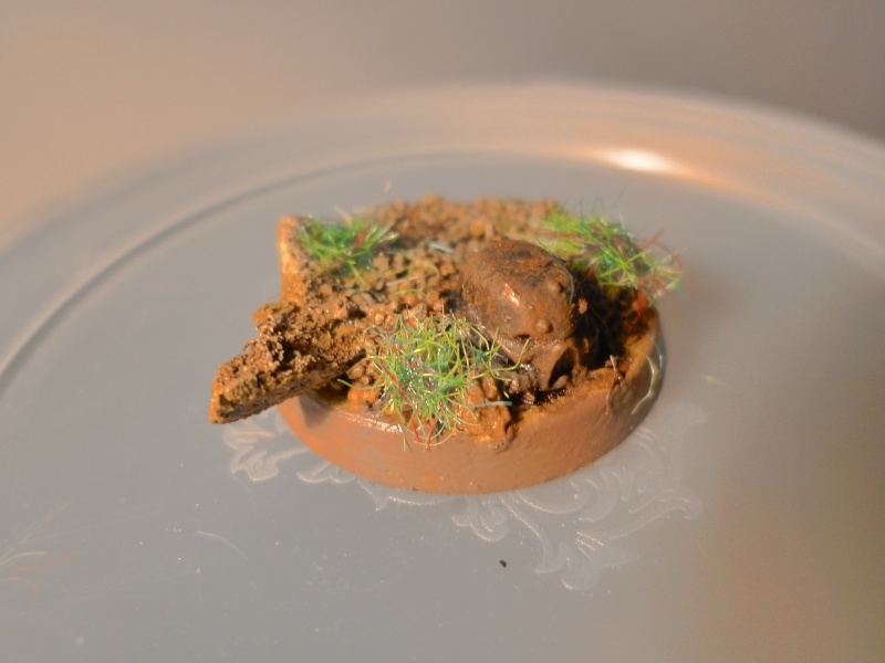 Vaisseau Monde Alaitoc  P1020824