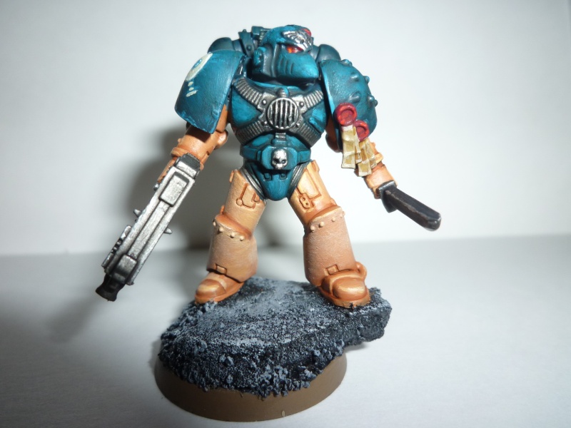 Imperium Dominatus (Galerie Loyaliste)  P1030510