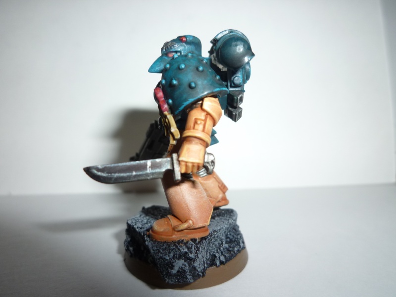 Imperium Dominatus (Galerie Loyaliste)  P1030511