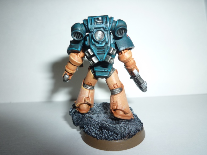 Imperium Dominatus (Galerie Loyaliste)  P1030512