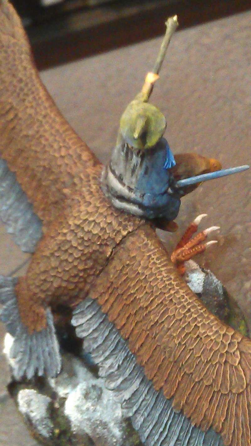 Concours de peinture SdA n°2 : Figurine montée - Page 2 Imag1013