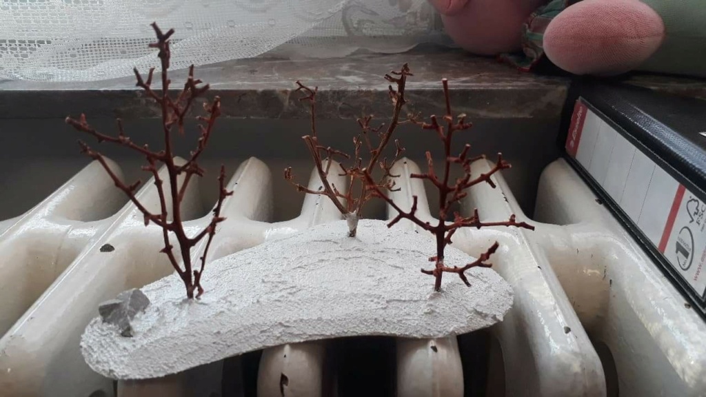 Petits décors/tuto sous-bois Receiv11