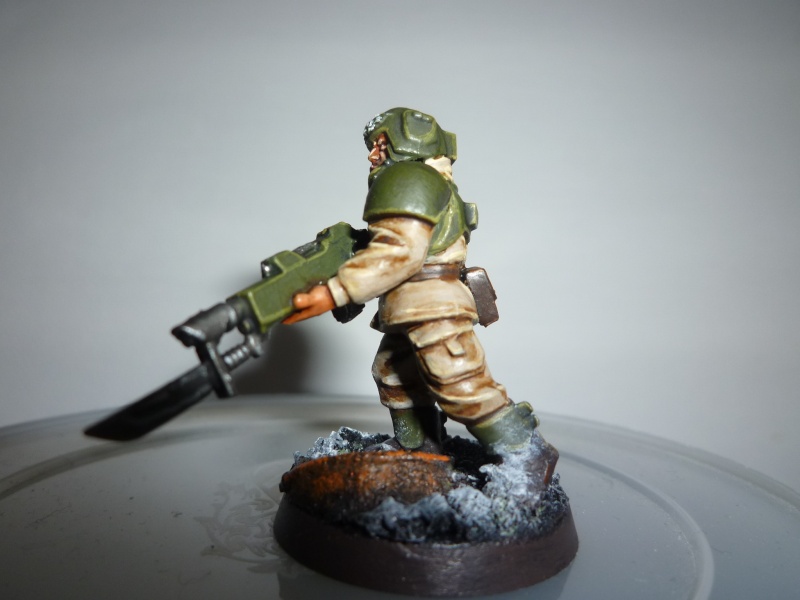 Imperium Dominatus (Galerie Loyaliste)  P1030020