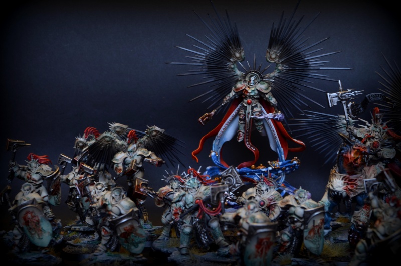 Age of sigmar ( stormcast)  - Page 2 Dsc_0213