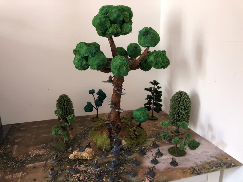 Tentative de Malorn, parlons ici d'un avant poste Elfique Img_2111