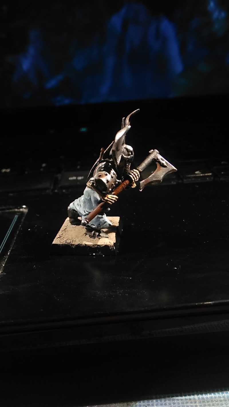 Mon armée des Comtes Vampires Img_2010