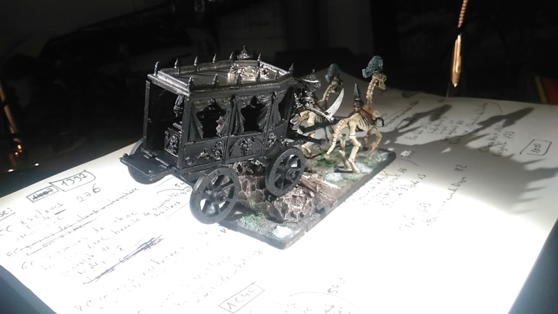 Mon armée des Comtes Vampires Img_2012