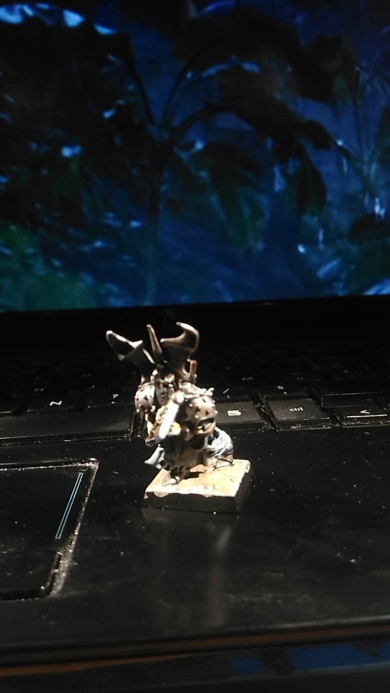 Mon armée des Comtes Vampires Img_2013