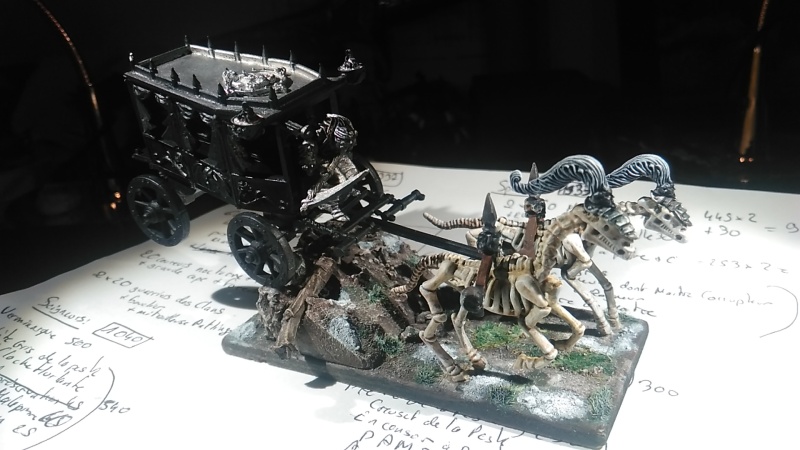 Mon armée des Comtes Vampires Img_2015