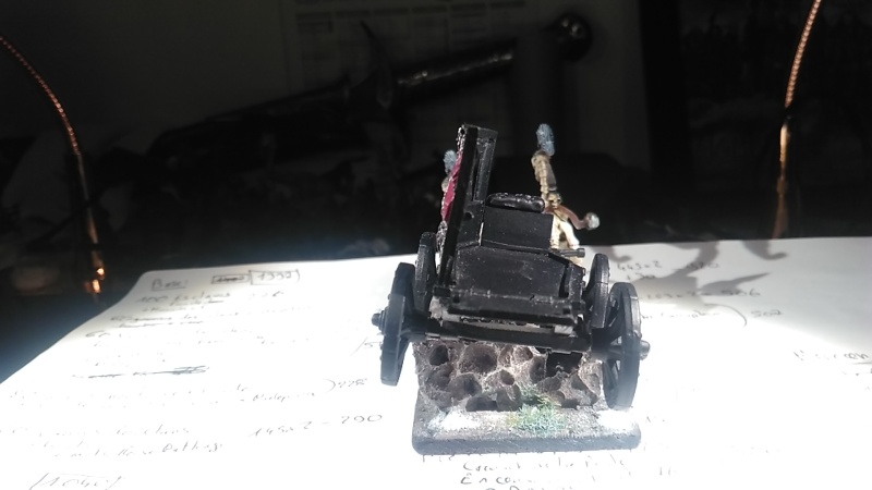 Mon armée des Comtes Vampires Img_2016