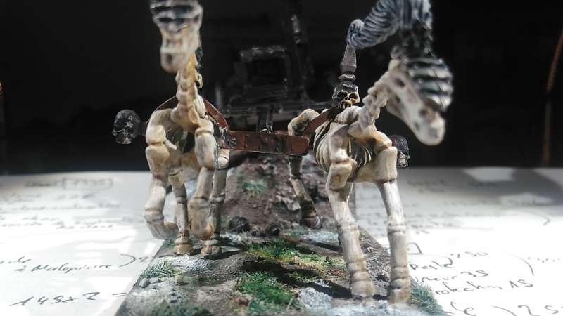 Mon armée des Comtes Vampires Img_2017