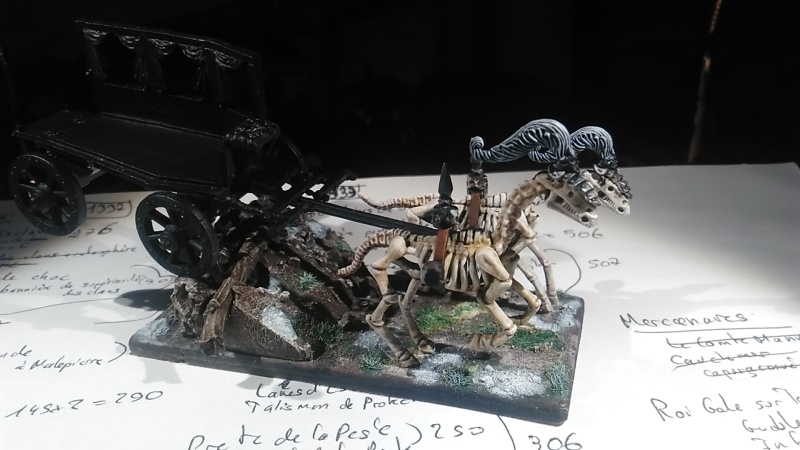 Mon armée des Comtes Vampires Img_2018