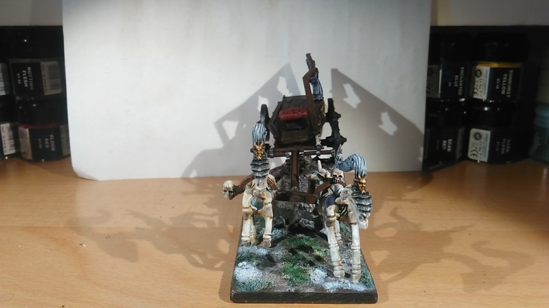 Mon armée des Comtes Vampires Img_2022