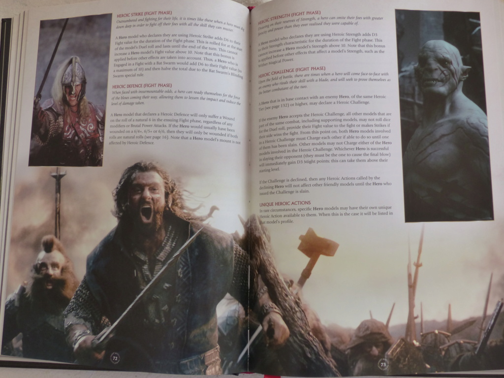 Middle Earth !! - Page 5 P1040512