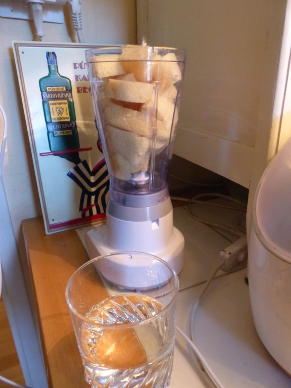 Fabriquer soi-même sa mousse synthétique (soclage, arbres) P1040614