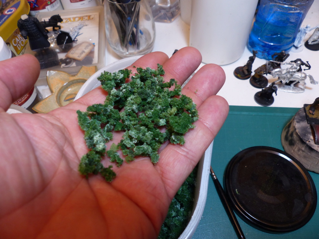 Fabriquer soi-même sa mousse synthétique (soclage, arbres) P1040716