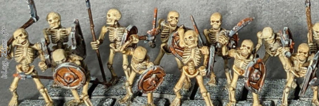 Galerie de Ooook - Page 2 20221111