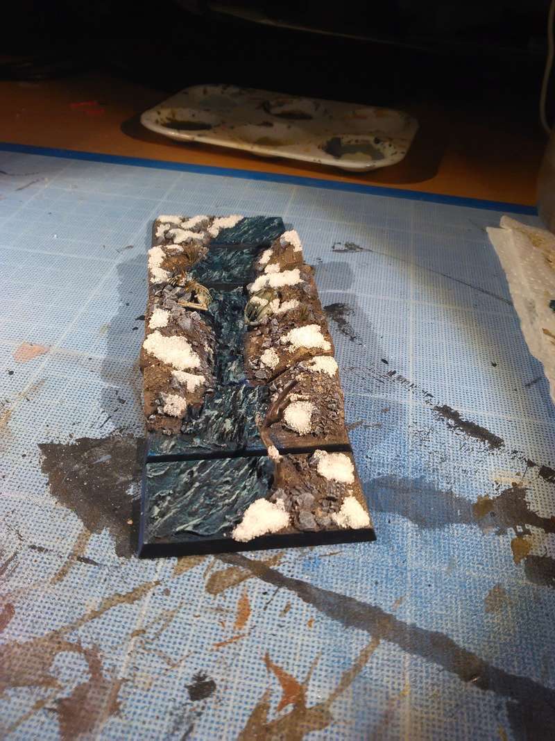 Mon armée des Comtes Vampires Img_2023