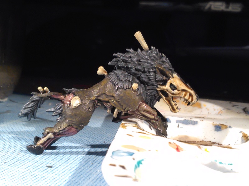 Mon armée des Comtes Vampires Img_2027