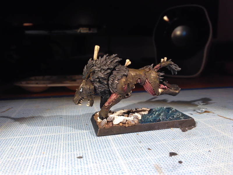 Mon armée des Comtes Vampires Img_2031