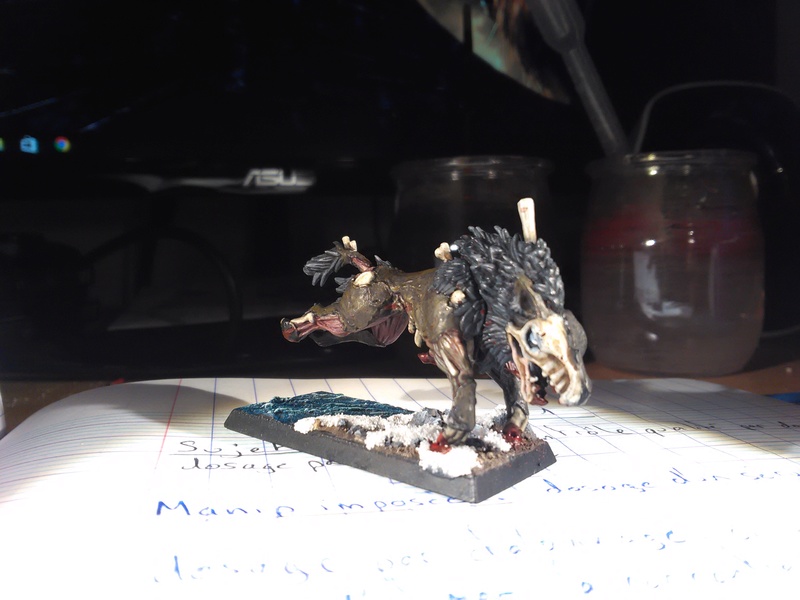 Mon armée des Comtes Vampires Img_2032