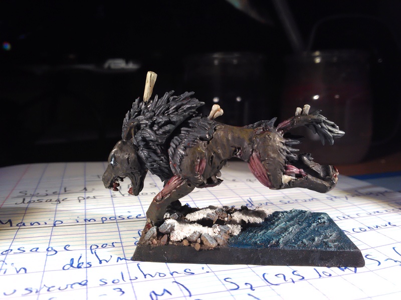 Mon armée des Comtes Vampires Img_2033