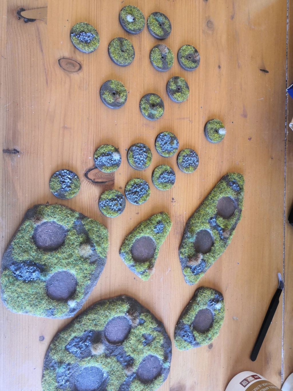 Forêt de conifère modulable (sapin GSW) Img_2074