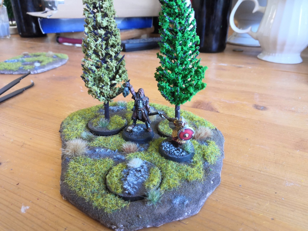 Forêt de conifère modulable (sapin GSW) Img_2077