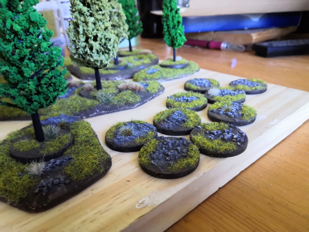 Forêt de conifère modulable (sapin GSW) Img_2078