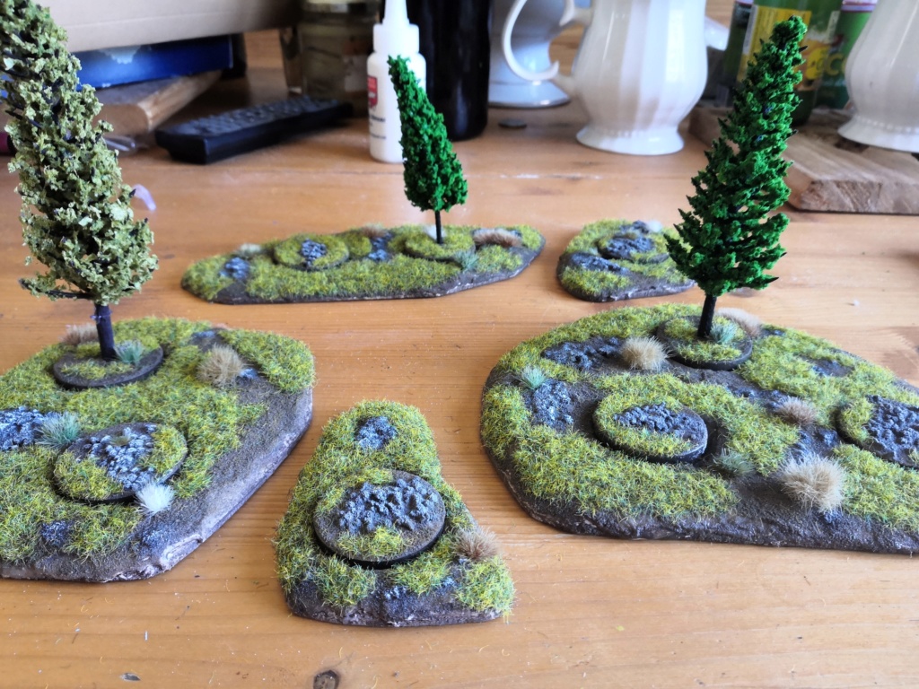 Forêt de conifère modulable (sapin GSW) Img_2079