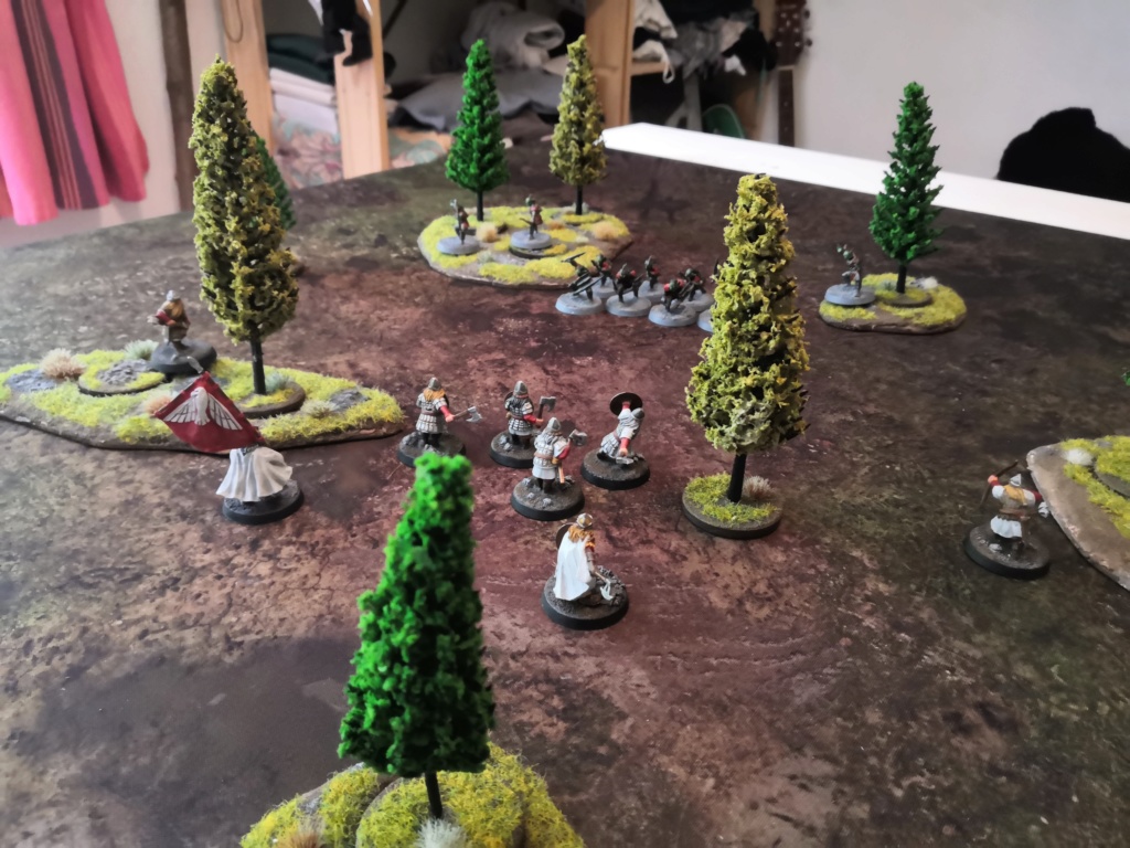 Forêt de conifère modulable (sapin GSW) Img_2080