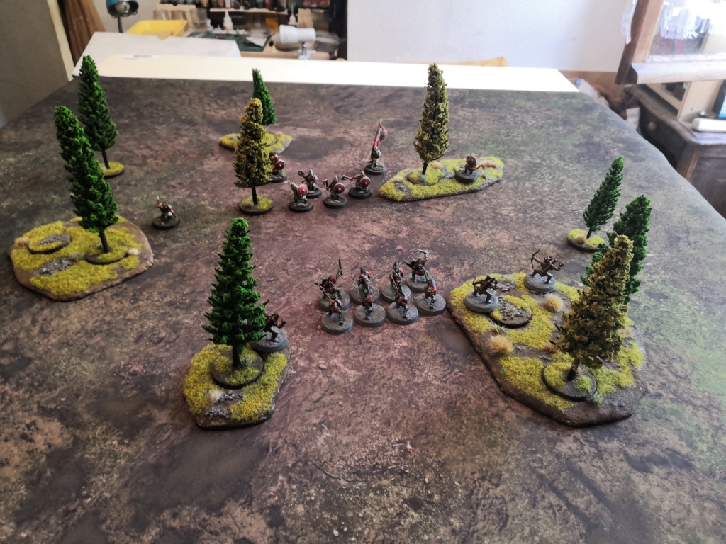 Forêt de conifère modulable (sapin GSW) Img_2081