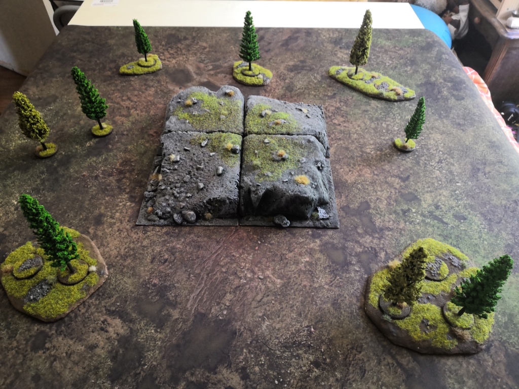 Forêt de conifère modulable (sapin GSW) Img_2082