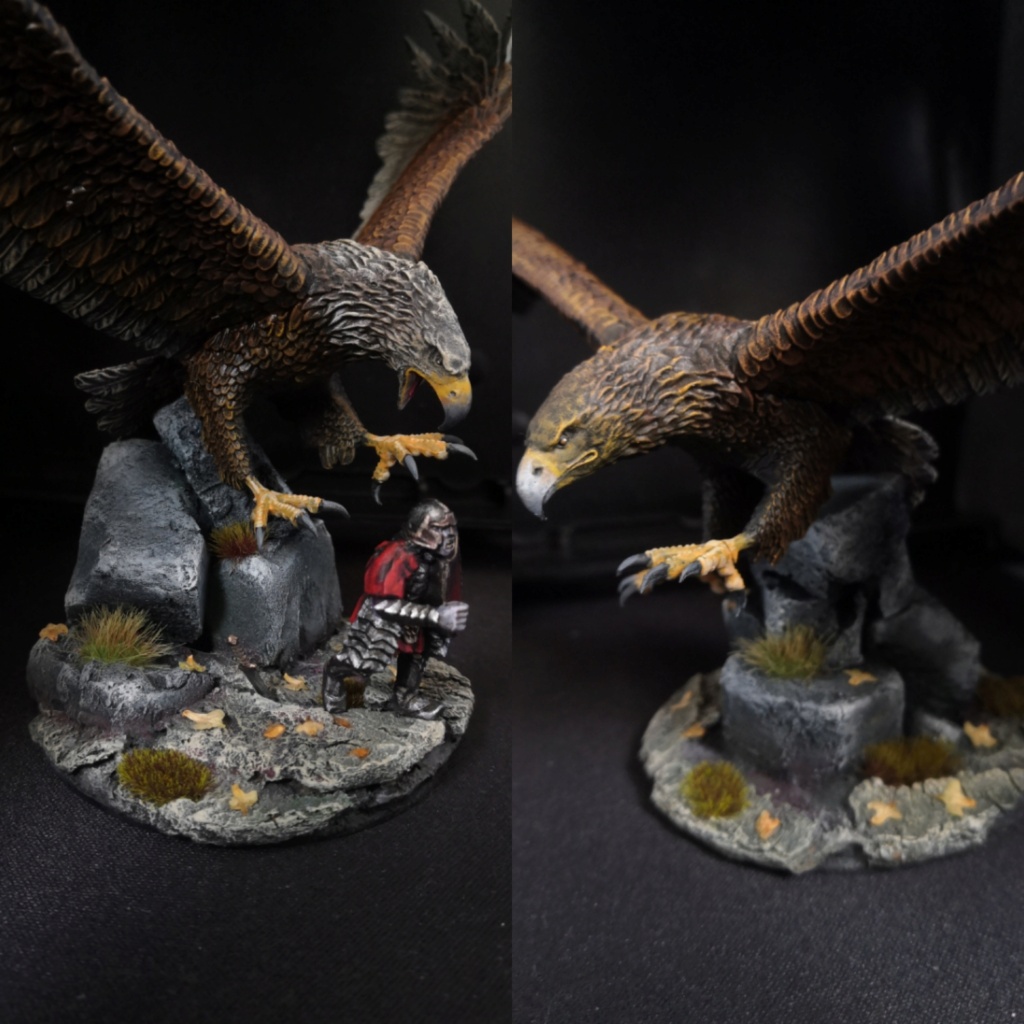 Gwaihir (fait maison) et un aigle des Monts Brumeux Img_2308