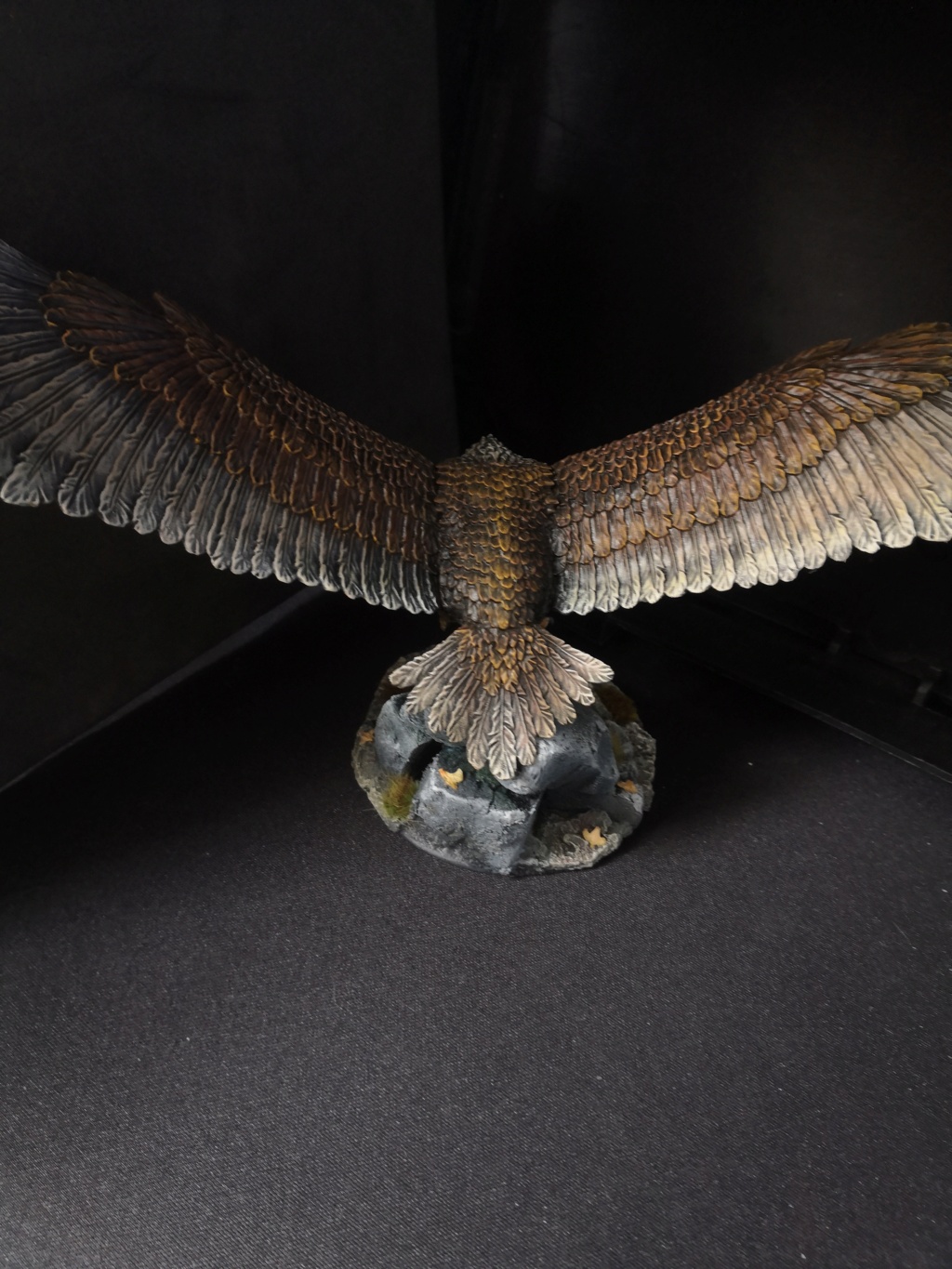 Gwaihir (fait maison) et un aigle des Monts Brumeux Img_2314