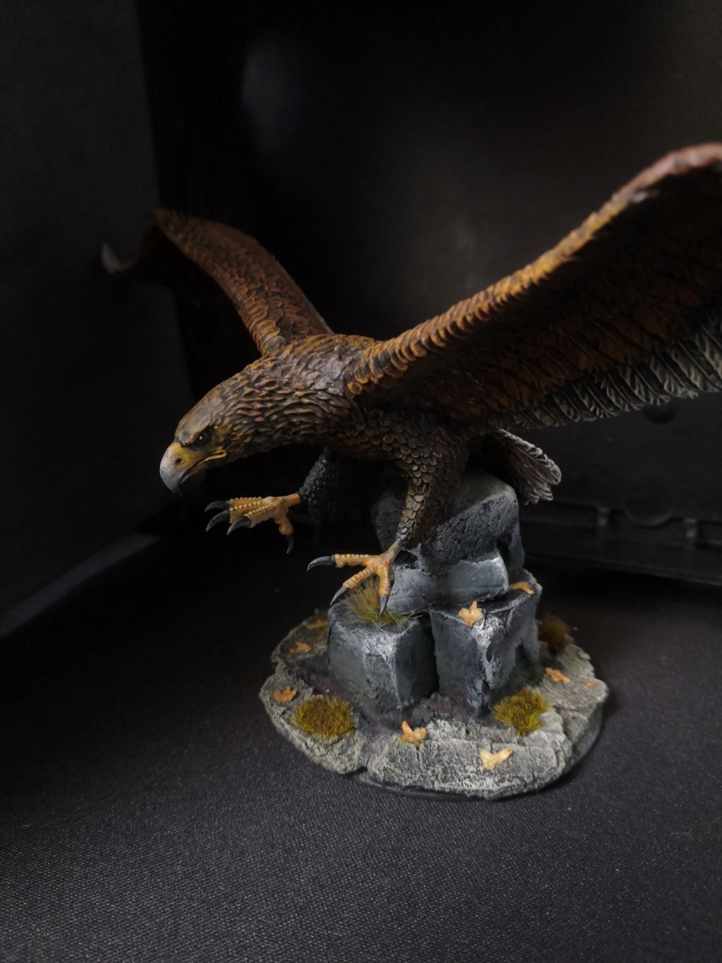 Gwaihir (fait maison) et un aigle des Monts Brumeux Img_2317