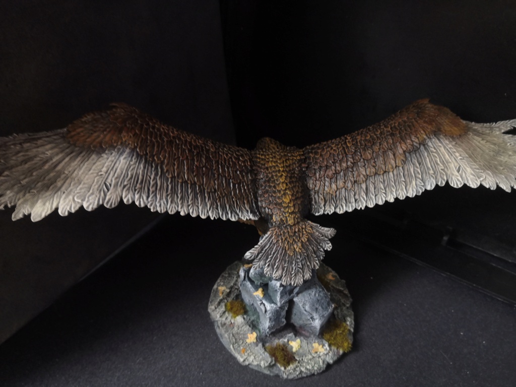 Gwaihir (fait maison) et un aigle des Monts Brumeux Img_2318