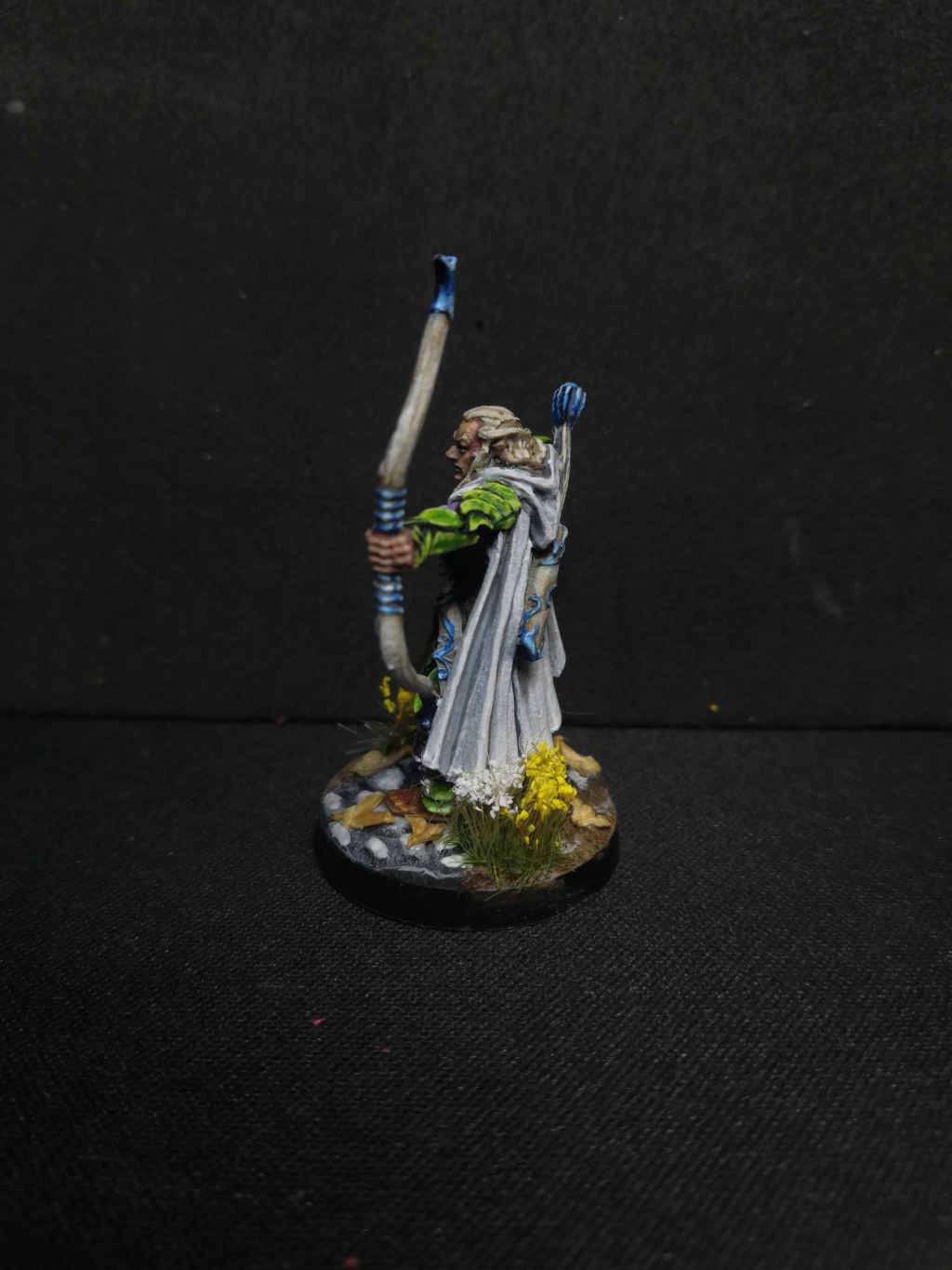 Les Galadhrims de la Lothlorien Img_2336