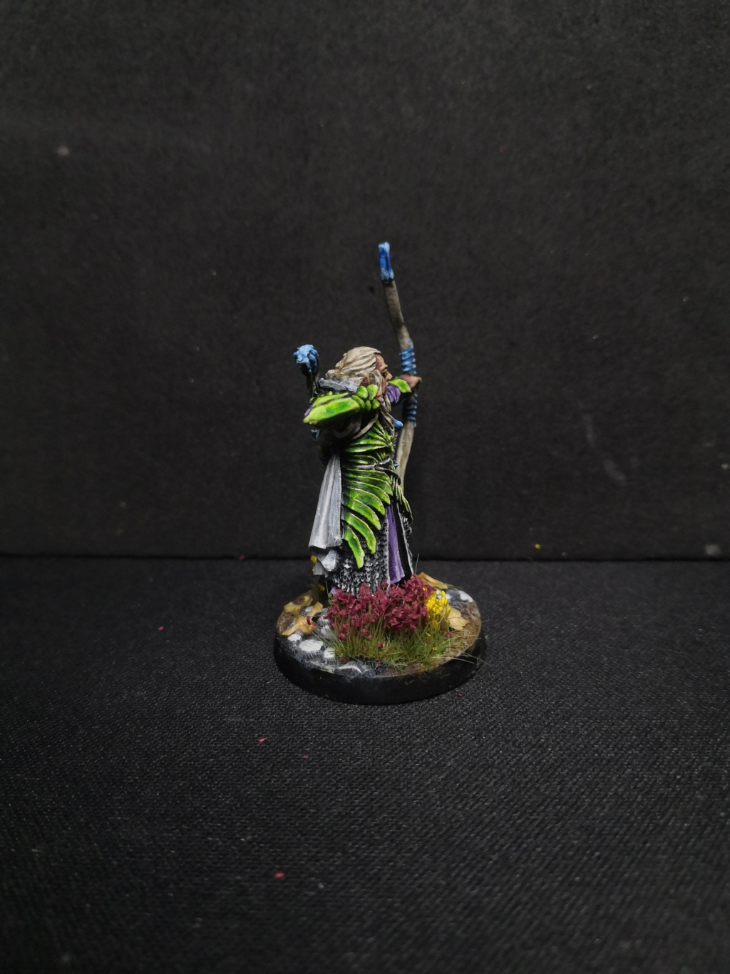 Les Galadhrims de la Lothlorien Img_2338