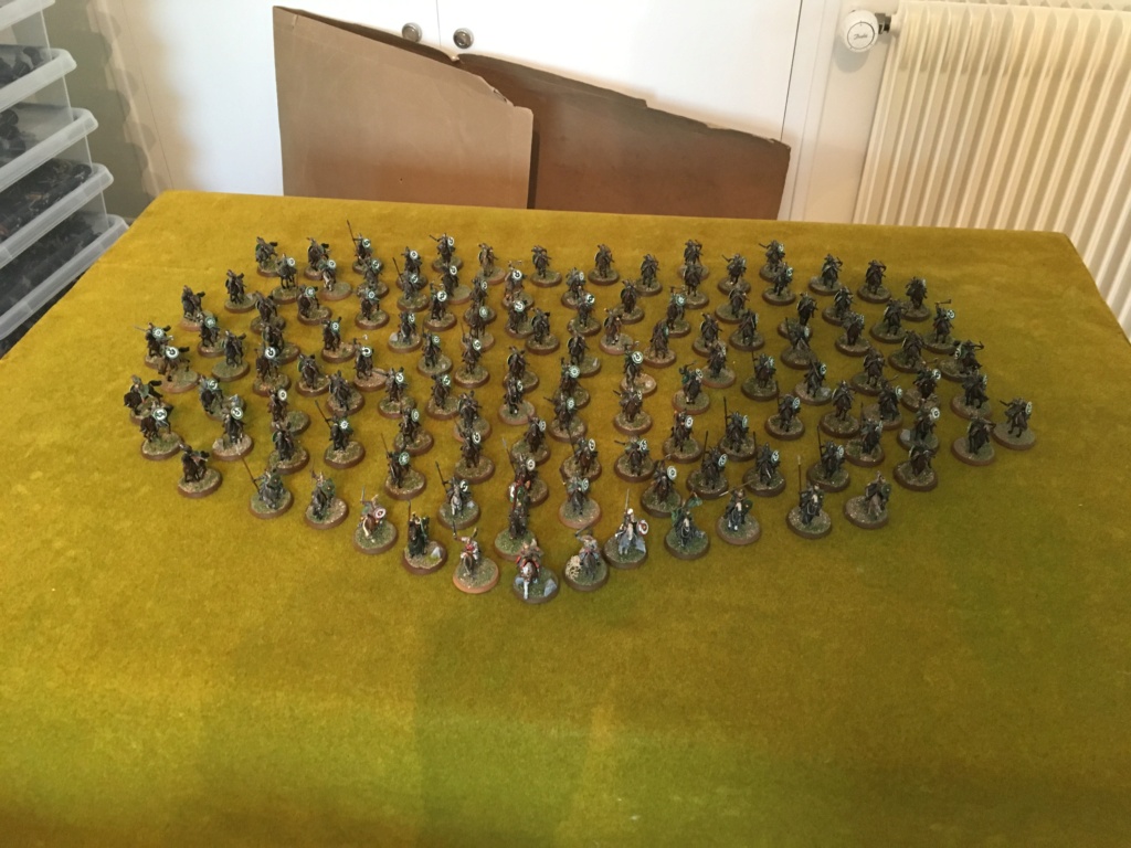 L'armée du Rohan Img_0815